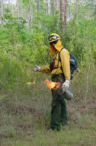 Firefighters on prescribed burns in Everglades NP 2003