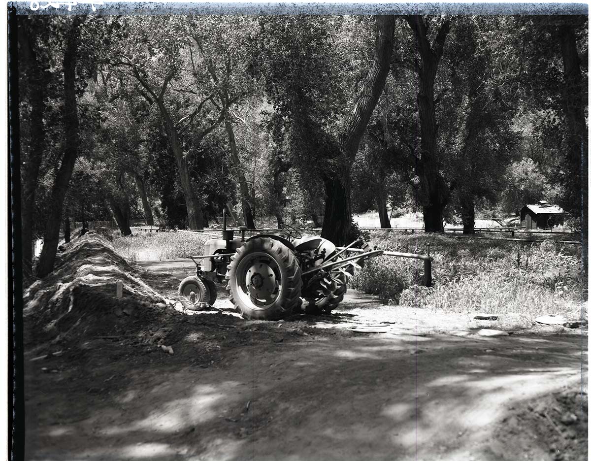 Reconstruction of Birch Creek sewage spray field for Zion Lodge with a tractor used to dig holes for spray trenches.