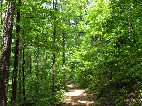 Rehab 20 Miles of Park Trails at Hot Springs National Park in April 2009