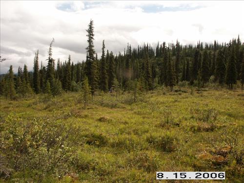 3 Small Mammal Survey in Denali National Park and Preserve in August 2006