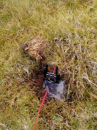 Sandy Meadow in Sept. 2003, Sequoia and Kings Canyon National Park