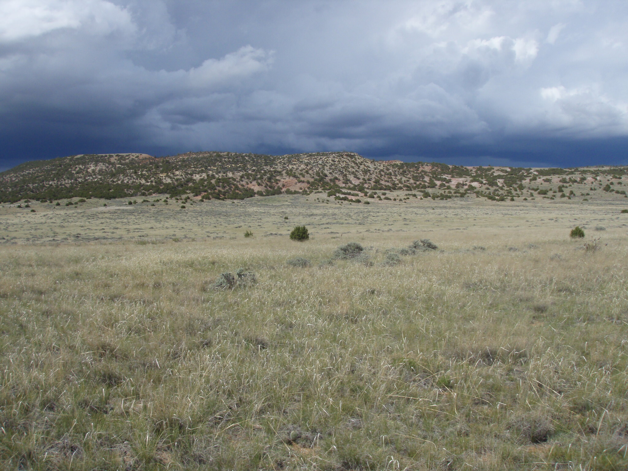 Image of the vegetation and landscape at photo point in Bighorn Canyon NRA 