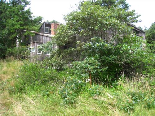 properties to be demo-ed