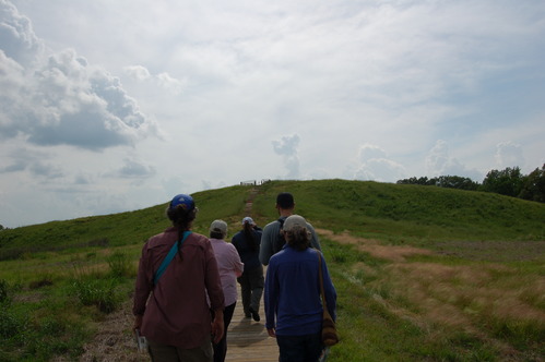 A group of people walking in a grassy field.