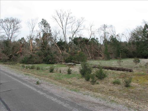 Photos taken in the aftermath of April 10, 2009, tornado at Stones River National Battlefield