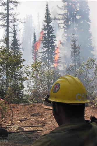 Fish Creek burnout operation on Robert Fire, Glacier National Park