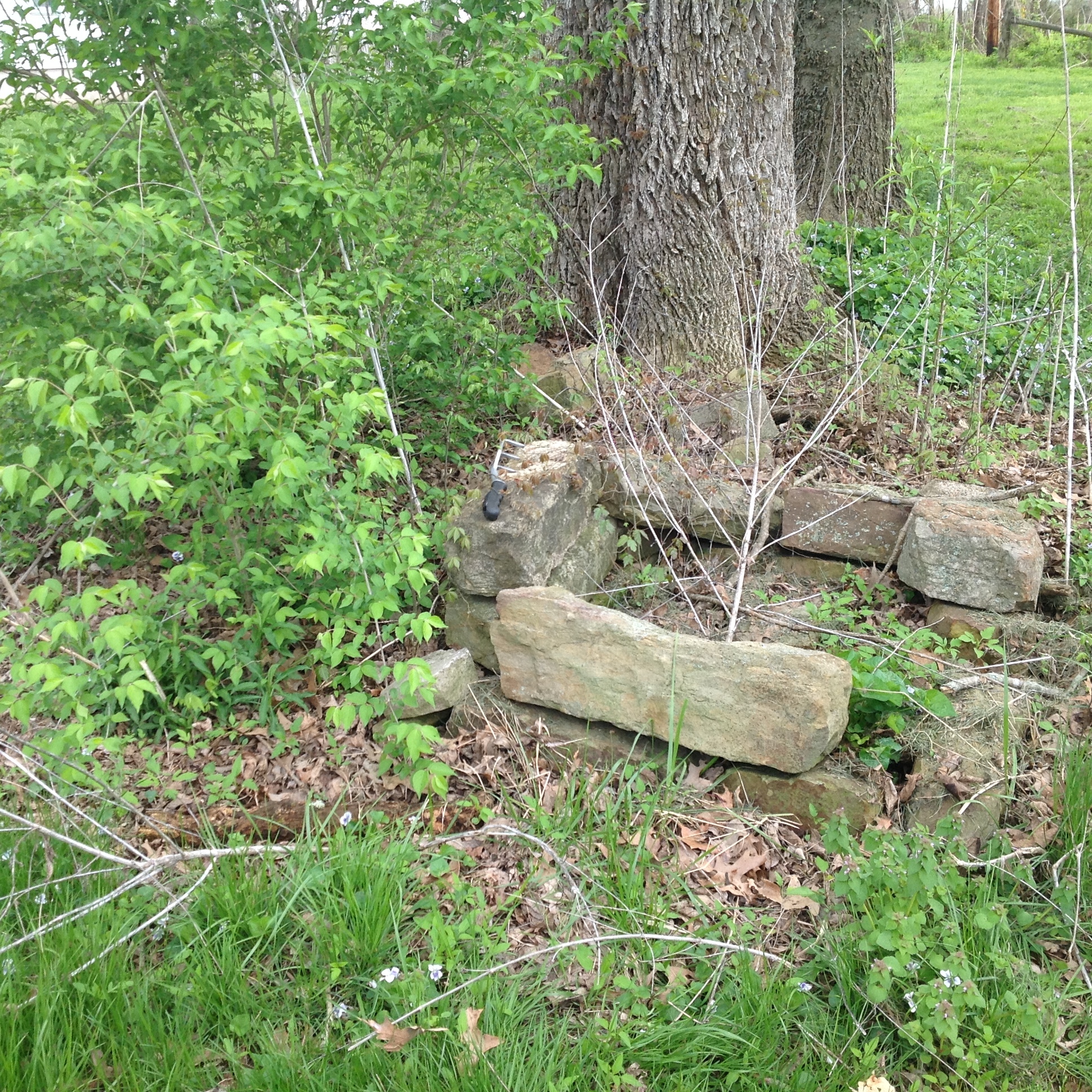 A small rock garden in the middle of a grassy area.