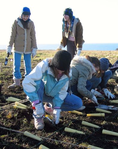 Prairie Restoration, Part 2