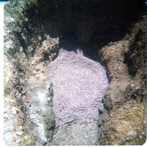 The sealing off of Sawmill Spring.