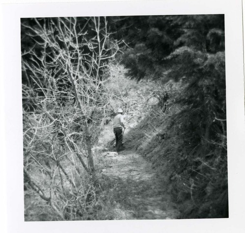 Hidden Canyon trail damage and repairs.