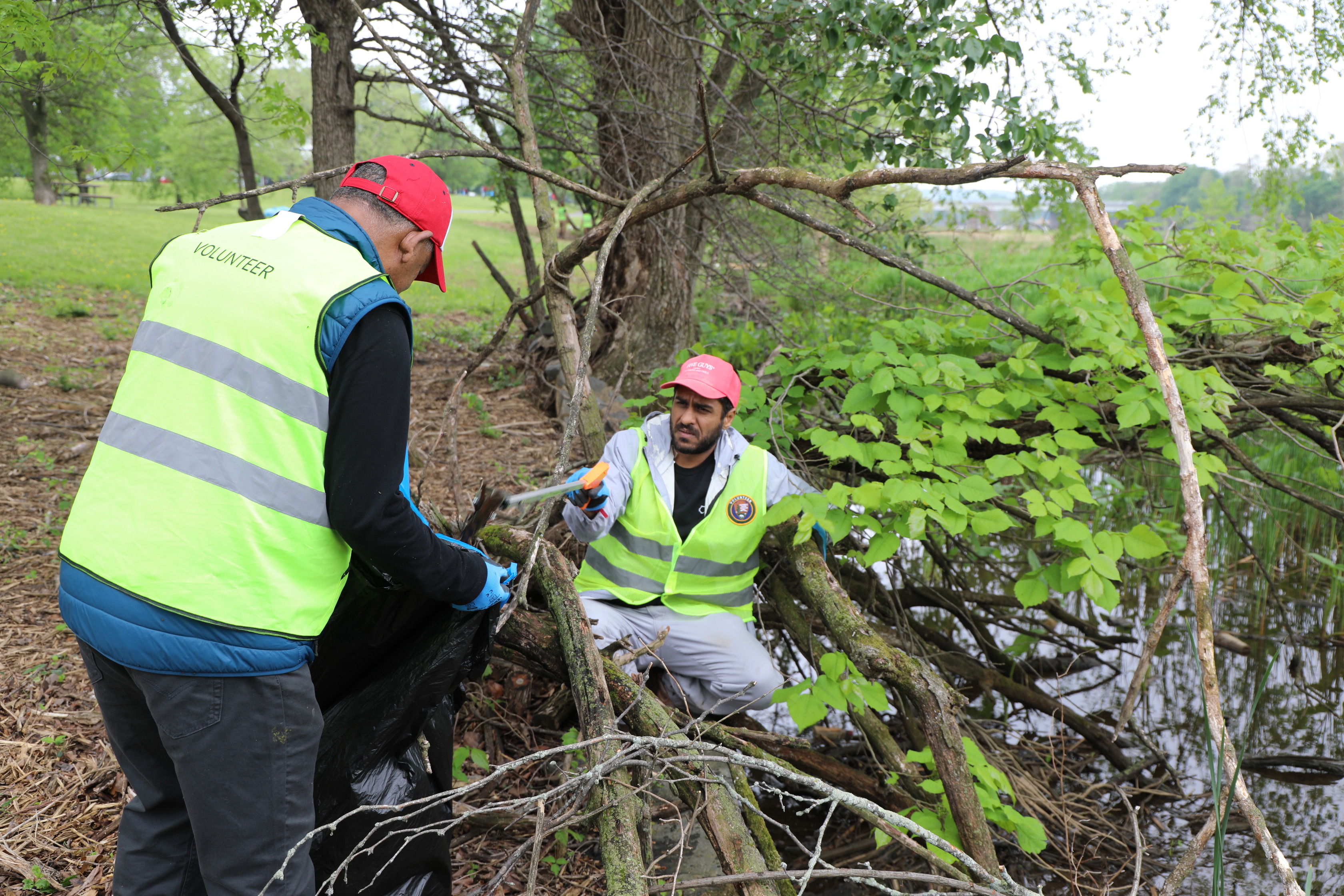 Two male volunteers are cleaning up litter near a body of water. Both are wearing red baseball caps and bright yellow "VOLUNTEER" vests. The volunteer on the left is seen from behind, holding a large black trash bag. The volunteer on the right is crouched down among branches and small trees at the water's edge, using a grabber tool to pick up debris and putting it in the other man's trash bag. The background shows more trees and the expanse of the water.