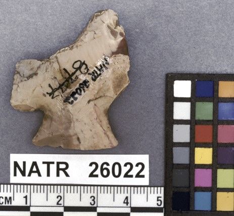 NATR   26022 -- Untyped projectile point