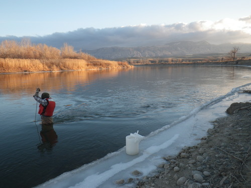 Person collecting a water sample in the Bighorn River in December 2017