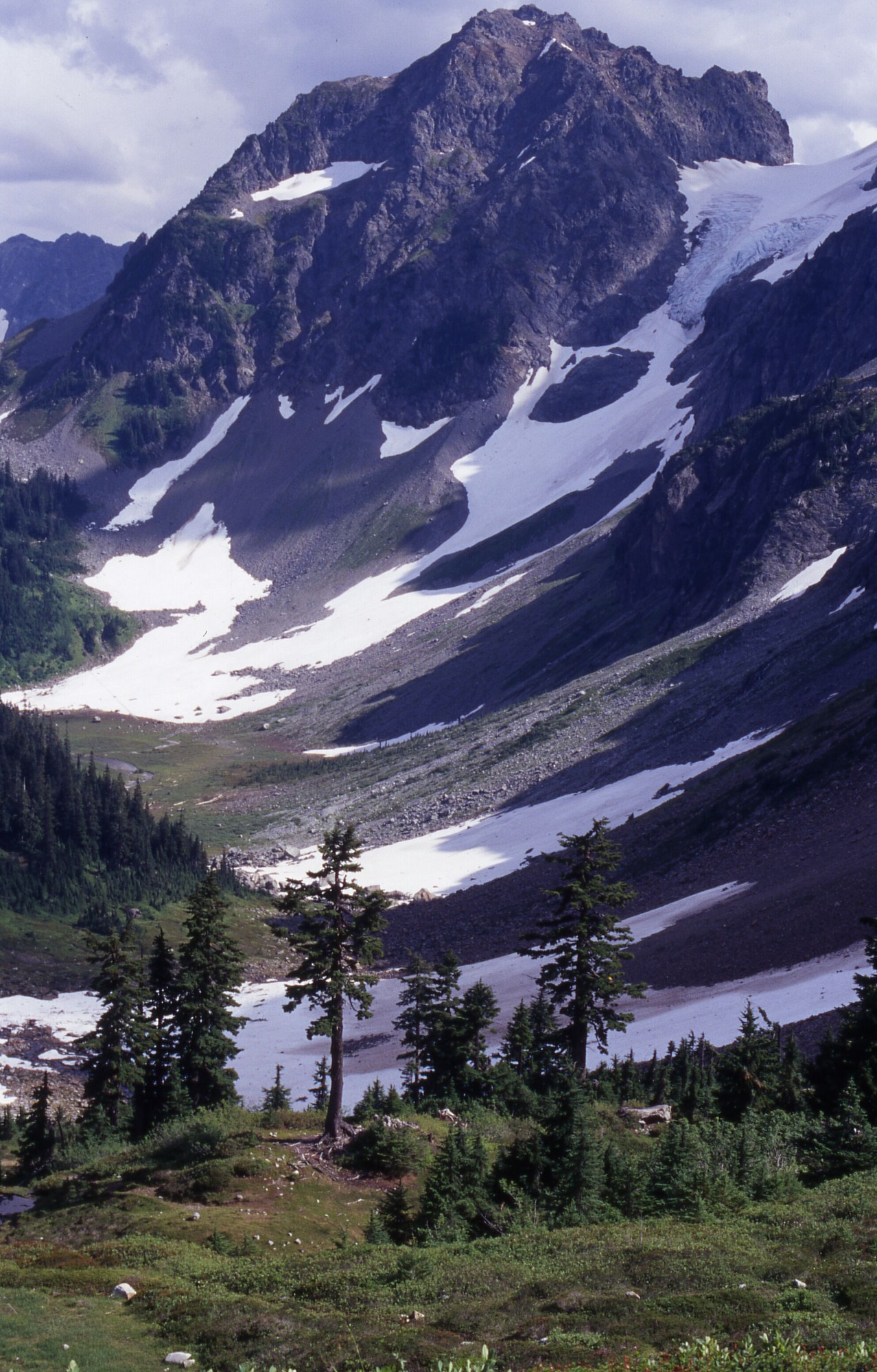 A forested area and a patchy clearing in front of a rocky basin of snow and rock. In the distance is a blunted peak.