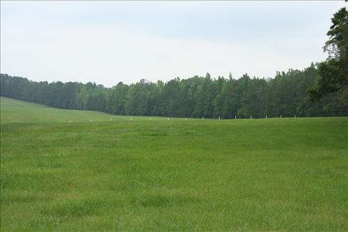 Barricade Location at Horseshoe Bend NMP at various dates