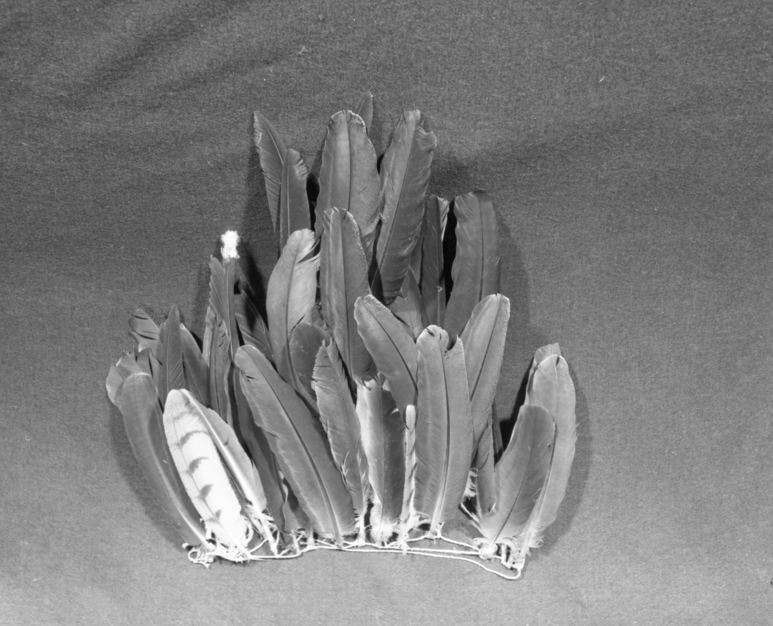 Marie Rozier Collection, Catalog No. 196. Object: Miwok feather cape. Dimensions: 2 x 1 1/2". Materials: cotton string; peacock, barn owl, and turkey vulture feathers. Collection History: Made under the instruction of John Kelly, central Miwok, by Craig Bates in summer 1968. He called it "hitch lee". Photographed by Michael Dixon in December 1982. Catalogued by Craig Bates and Barbara Beroza. Yosemite Collections, National Park Service.