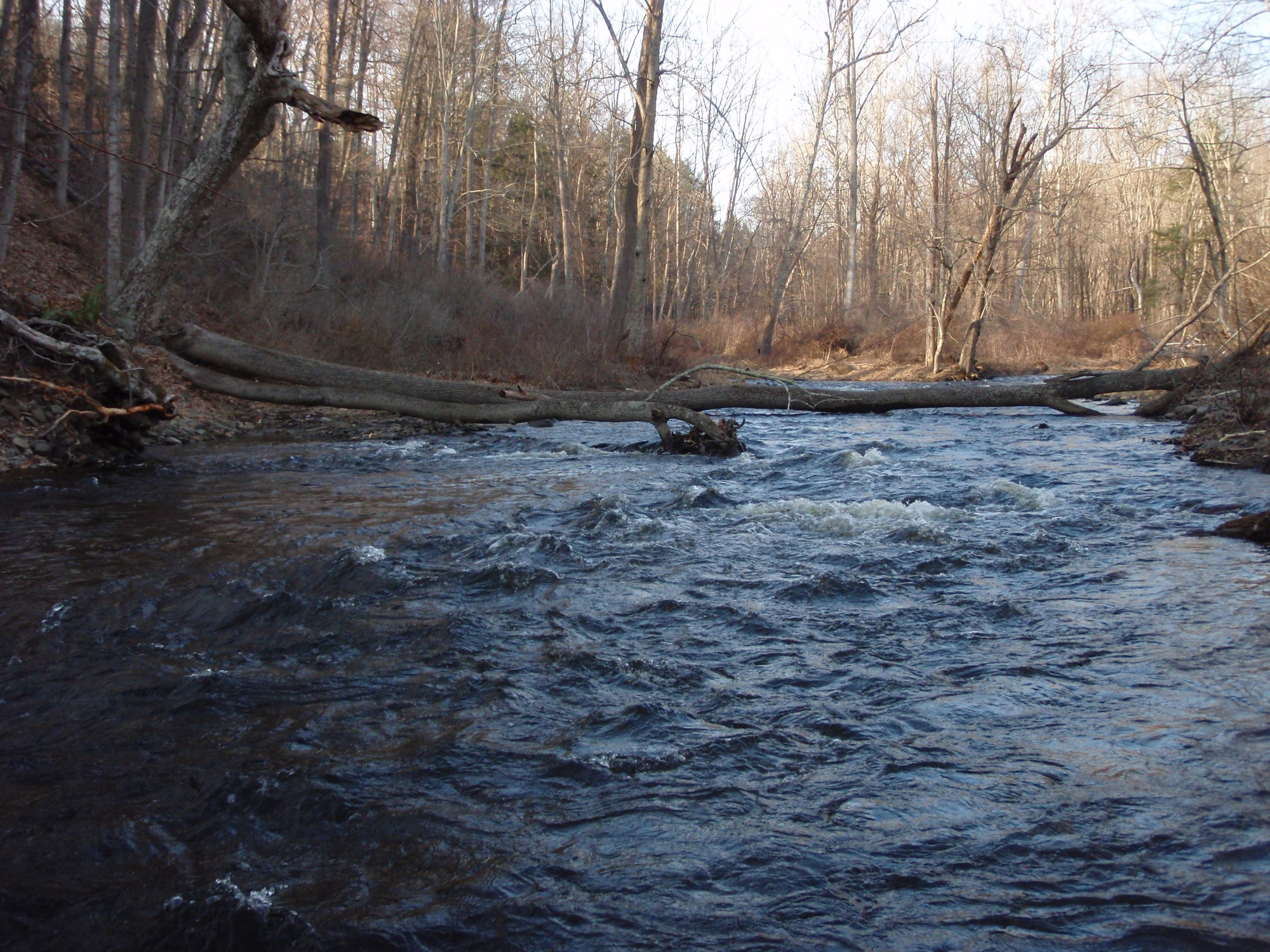 Site visit photo showing the upstream (UP) or downstream (DN) view of a wadeable stream reach taken during benthic macroinvertebrate monitoring at Delaware Water Gap National Recreation Area.