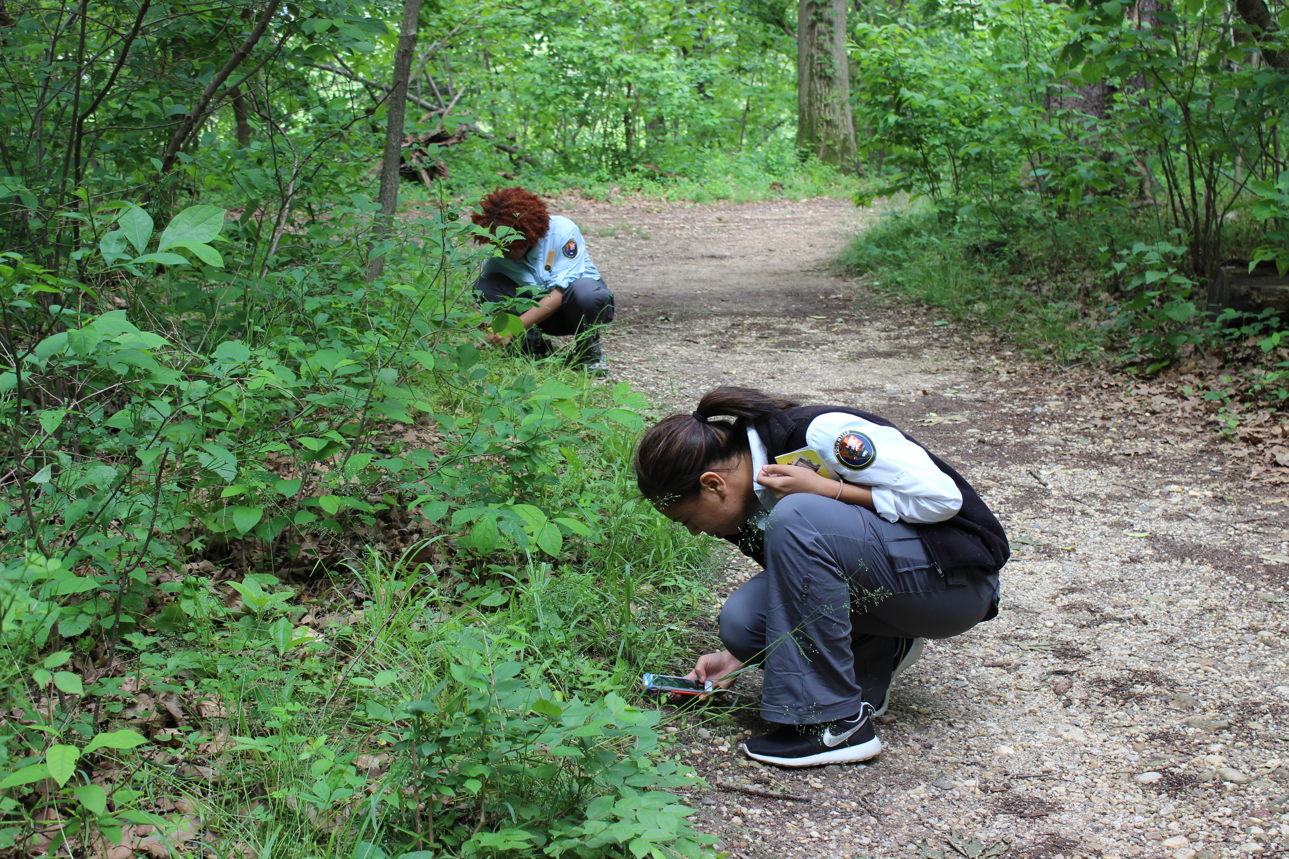 Youth using iNaturalist