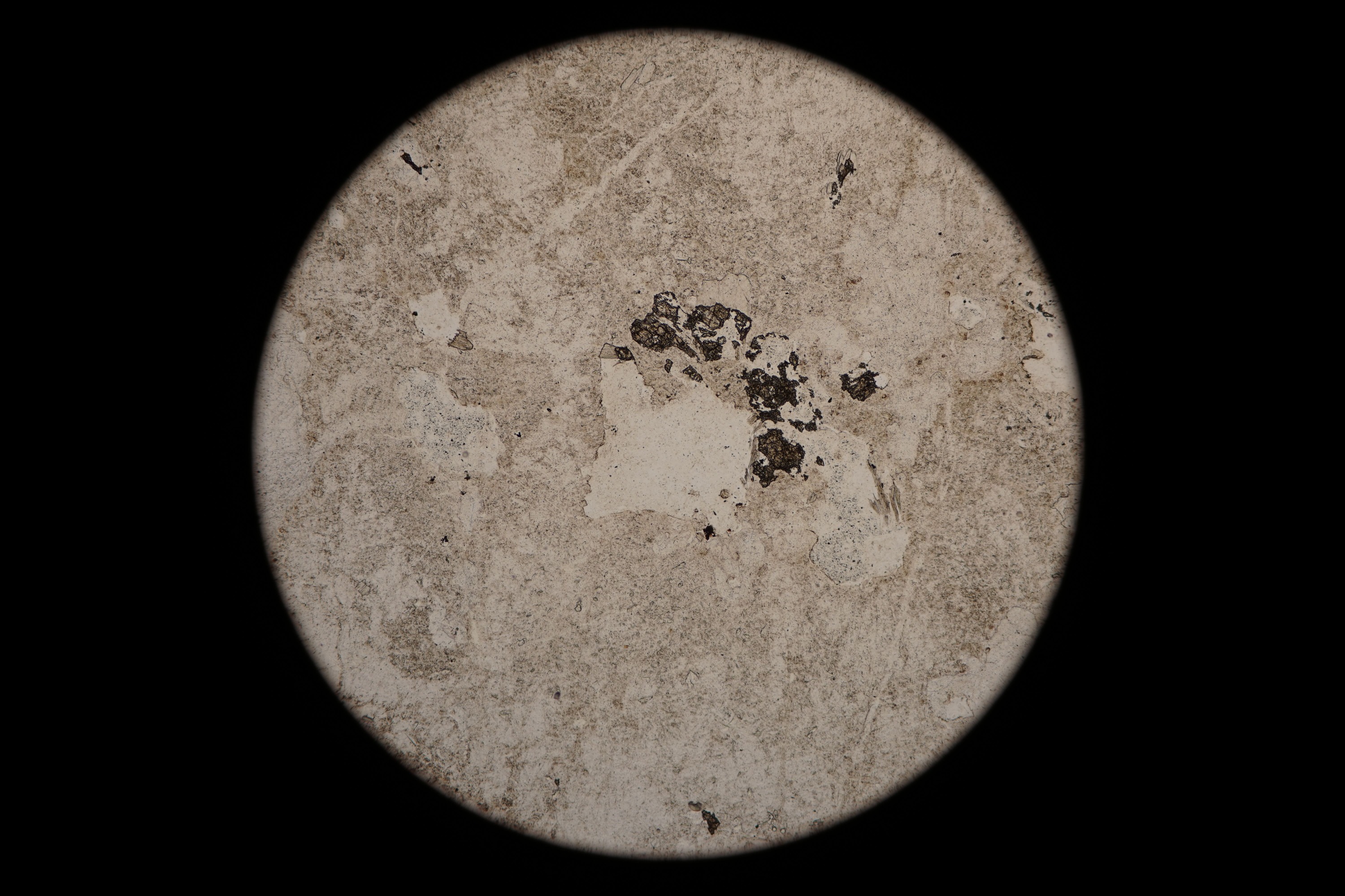 Circular microscopic image of rock structure.