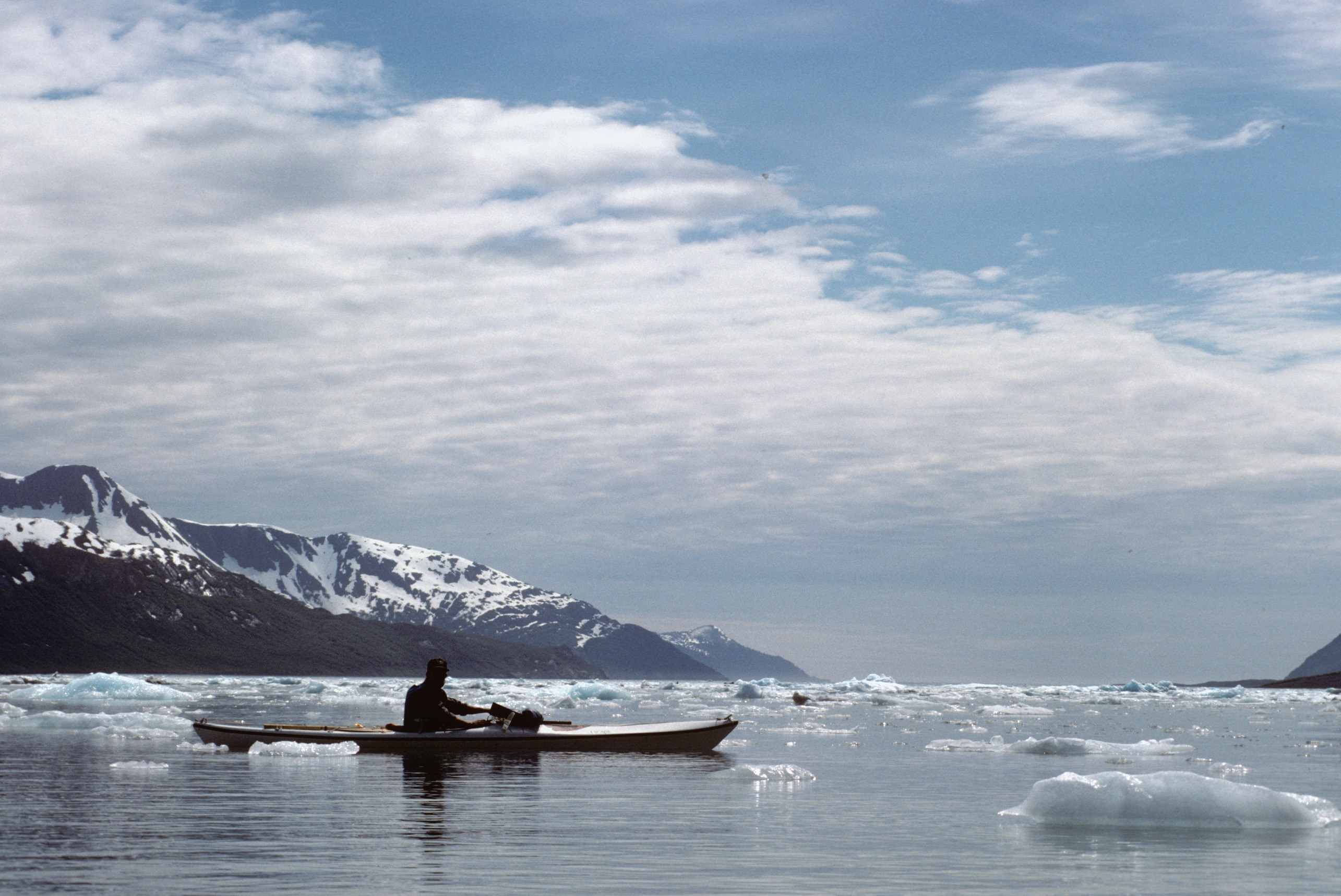 Volunteer kayaking in McCarty Fiord (Fjord)