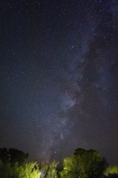 A midnight blue sky of many stars sprawls above the greenery of a national park.