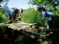 YCC Crew installs a new trail bridge. 