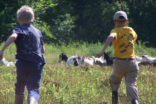 Junior Ranger, Goats and Gobblers, Children With Goats