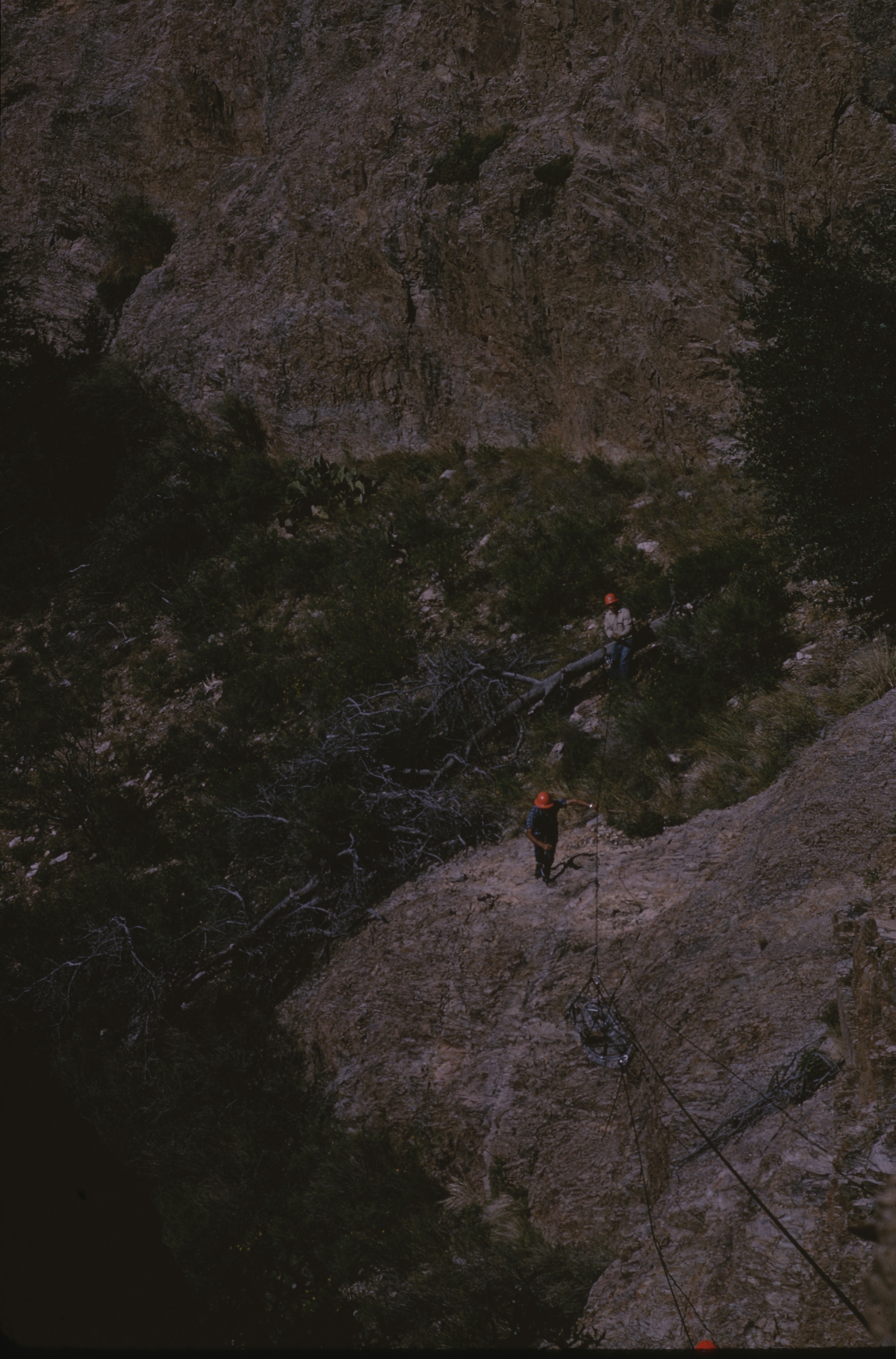 SAR personnel ascending hill with cables