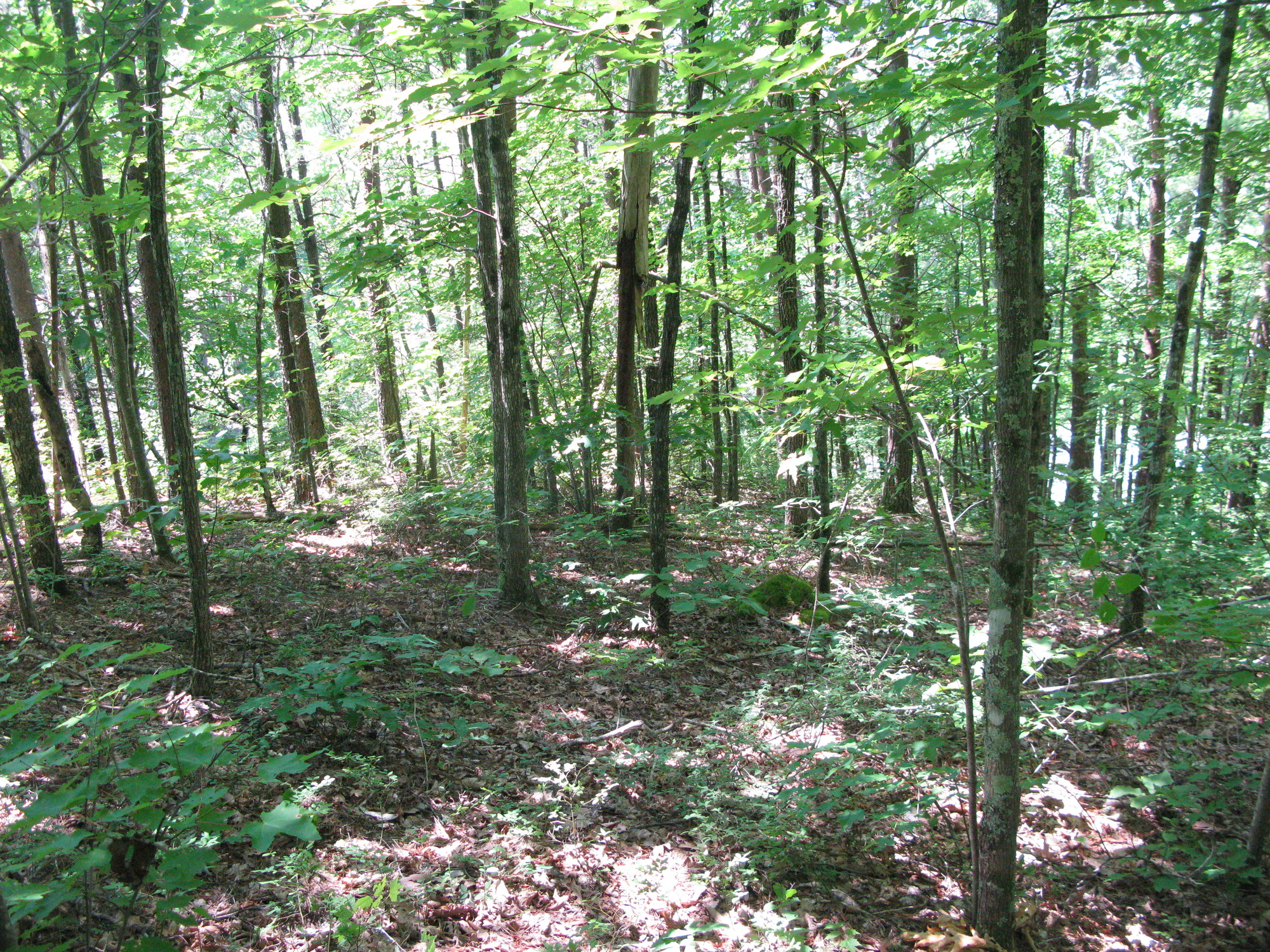 GRSM Accuracy Assessment. Plot Code: GRSM_AA_0792_4