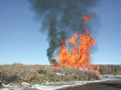 Brush pile burn as part of fuel reduction, Mesa Verde National Park, Jan. 2002