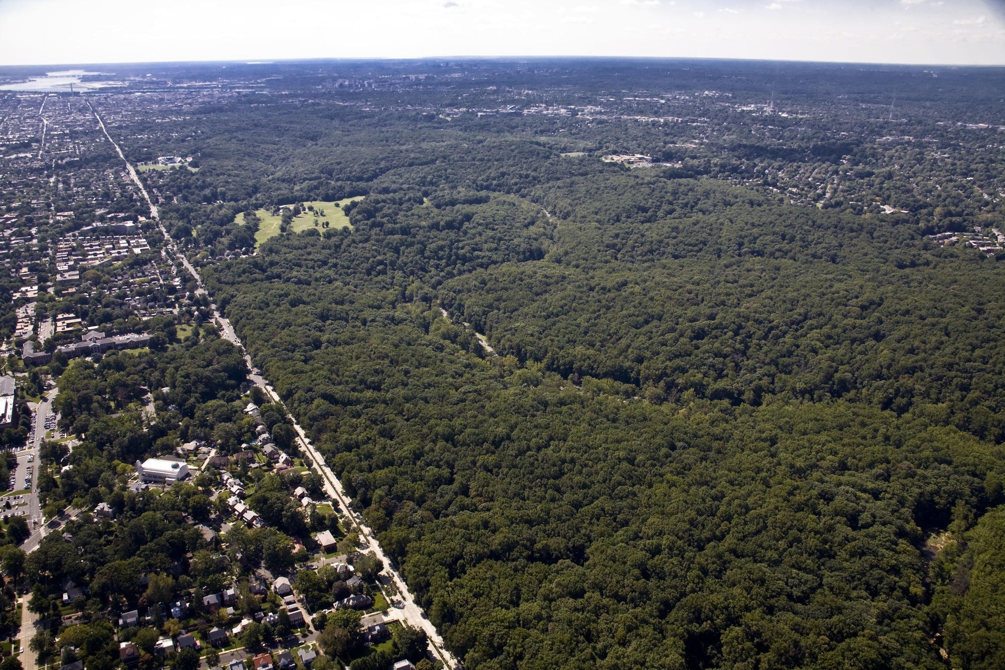 An aerial view of Rock Creek Park showing hundreds of green tree tops with a river running through them. 