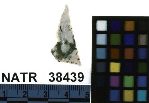 NATR   38439 -- Late Woodland / Miss Triangular Cluster projectile point