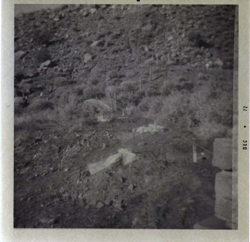 Fence construction at the South Entrance.