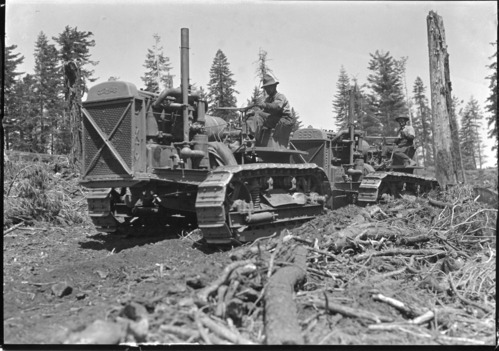 Yosemite Lumber Co. - 2 Best 60 cats working in tandem. [Cat in front, Best in back]