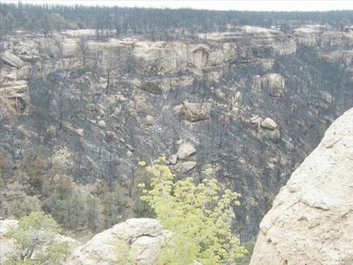Canyon burn areas depicted in surface photos in the aftermath of the Long Mesa Fire, Mesa Verde National Park, August 2002