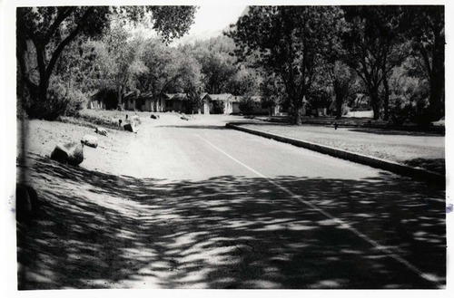 The old Zion Inn cabins.