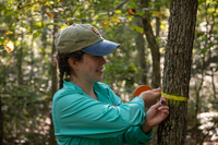 A biologist in a turquoise shirt wraps a measuring tape around a tree to measure its diameter. She smiles.