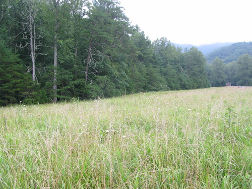 GRSM Accuracy Assessment. Plot Code: GRSM_AA_0863_2