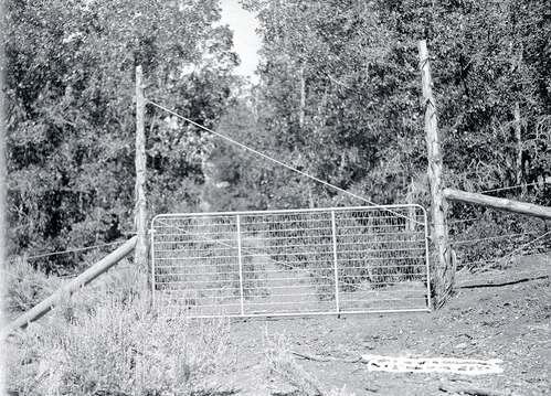 Gate at the east boundary fence line.