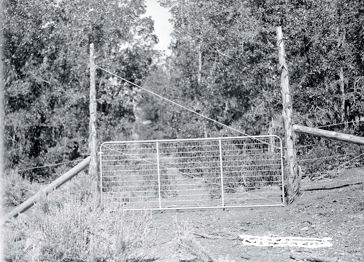 Gate at the east boundary fence line.