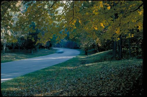 Colonial Parkway at Colonial National Historical Park, Virginia