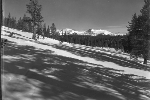 Unnamed Pk. taken from Rafferty creek trail