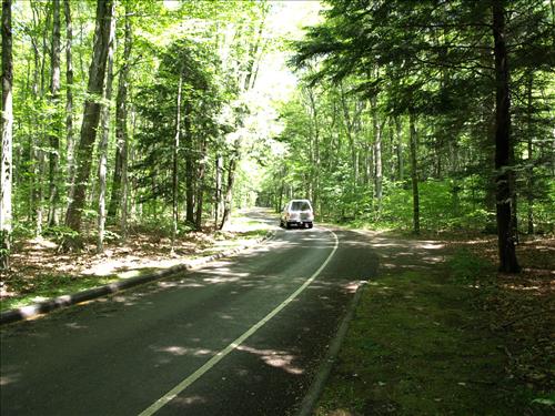 SLBE Pierce Stocking Scenic Drive Cars