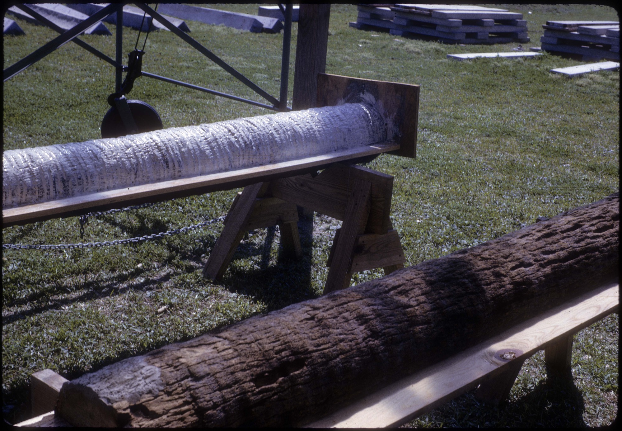 Two palm logs.  Each on a table.  One is covered in epoxy.  The other is not.