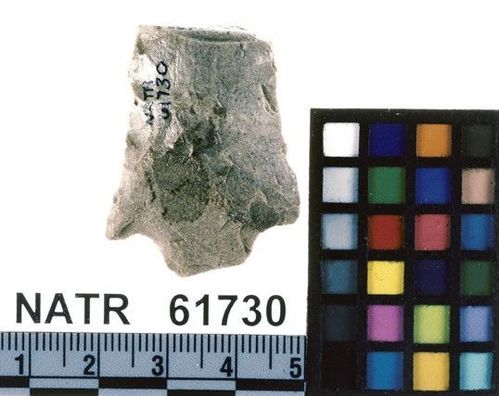 NATR   61730 -- Untyped projectile point