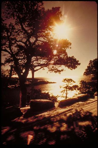 Acadia National Park, Maine