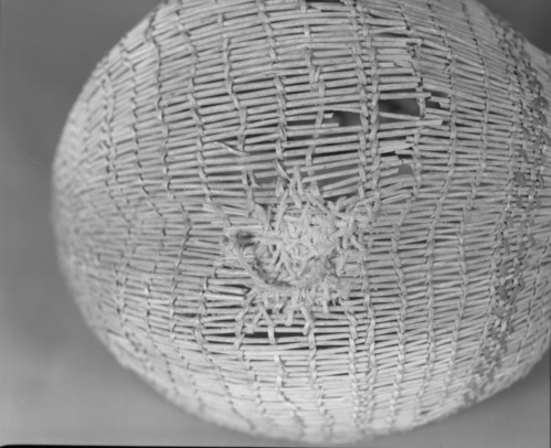 Private Collection. Object: Miwok basket. Dimensions: 9 1/2 x 4 1/2 x 8". Materials: Scraped shoots, split shoots, bracken fern root, and cotton string. Technology: Diagonally twined, up to right slant of turns, alternate rows with alternate slant. 1/3 of way from start of basket end selvage warp rods bent & lashed with additional bundle of rods coiled on top to even out rim contour. Rimstick attached with the aid of an awl lapping on one side. Repair in commericial cotton cordage apparently using a needle which secures short sections of willow sticks much in the manner of Anglo sock darning. Collection History: Purchased at 3 Flags Trading Post, Coleville, CA. with Miwok identification. Catalogued by Craig Bates and Barbara Beroza. Yosemite Collections, National Park Service.