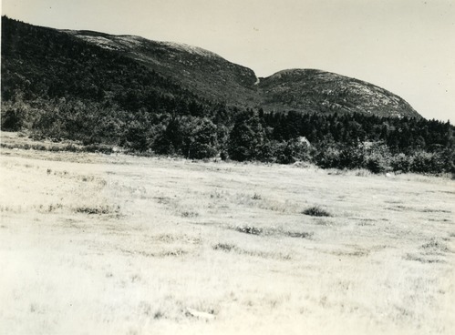 GORGE BETWEEN CADILLAC AND FLYING SQUADRON