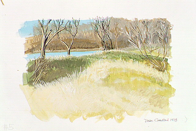 Trees and stream with grassy mound.