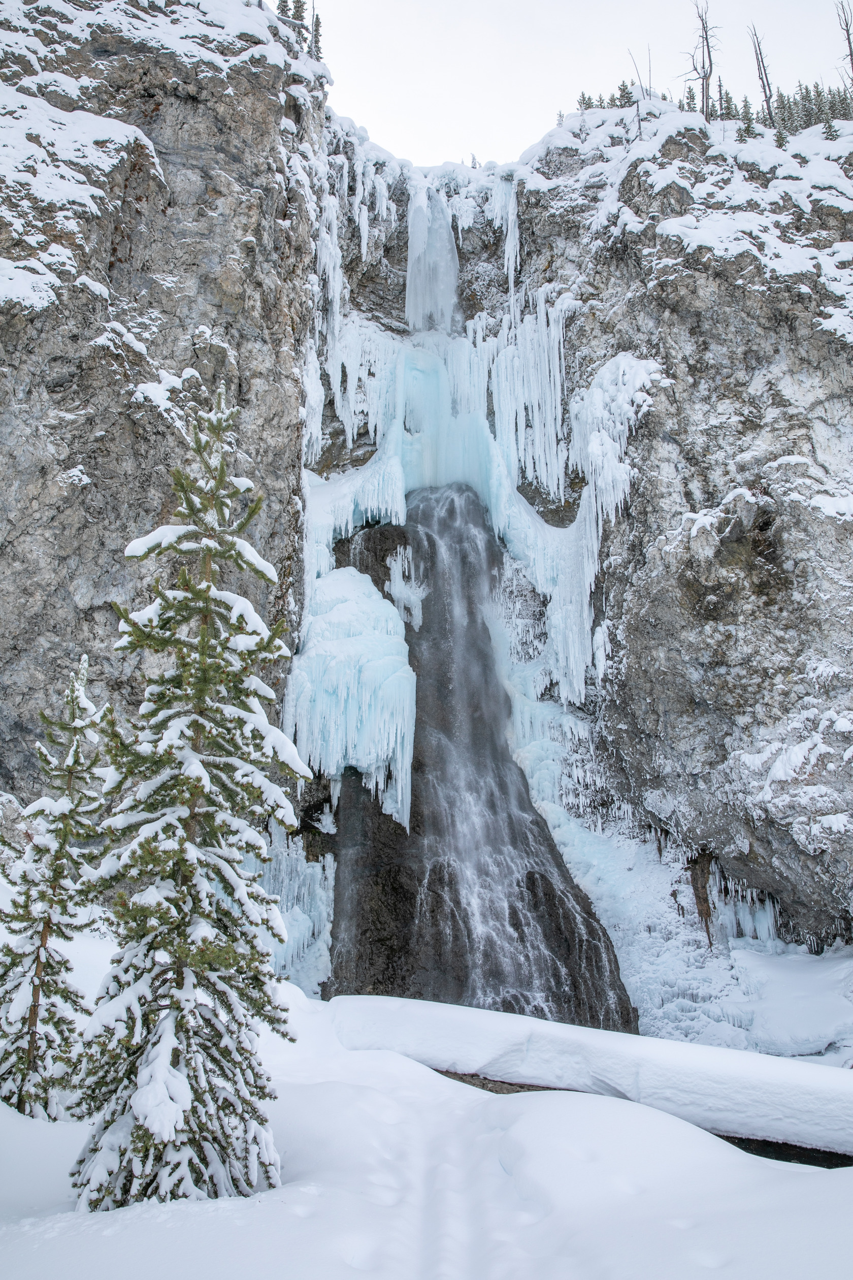 A small stream of water flows over a steep cliff and many icicles have formed on the edges